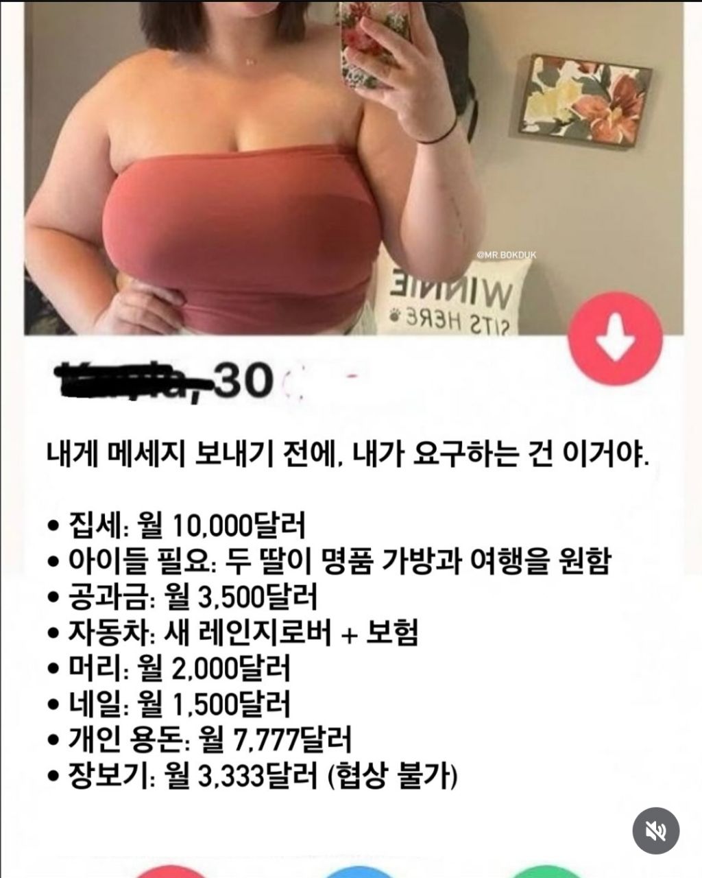  해외 데이팅 앱 ' 틴더' 에 올라온 한 돌싱녀의 요구조건 | 인스티즈