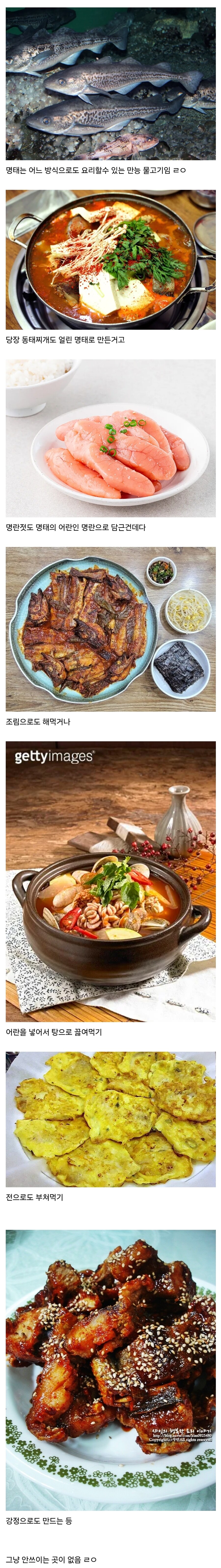 요리 방식이 만능인 물고기 | 인스티즈