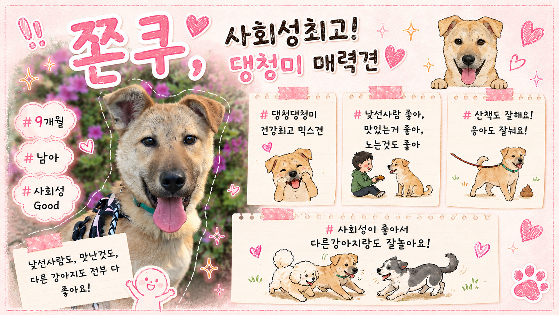 올여름은 유기동물과 함께🐶🐰😸 +임시보호 | 인스티즈