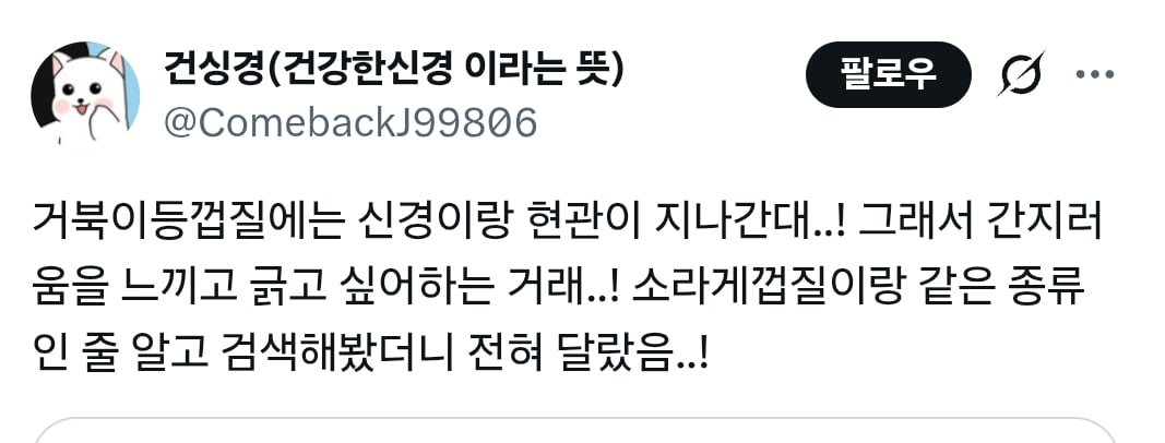 거북이집사가 솔을 어항에 넣어두는 이유 | 인스티즈