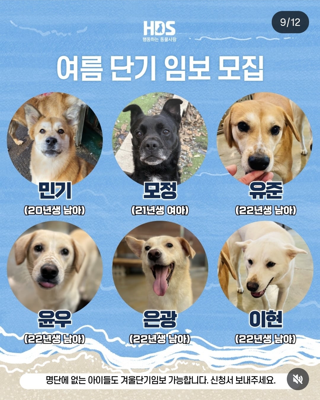 올여름은 유기동물과 함께🐶🐰😸 +임시보호 | 인스티즈