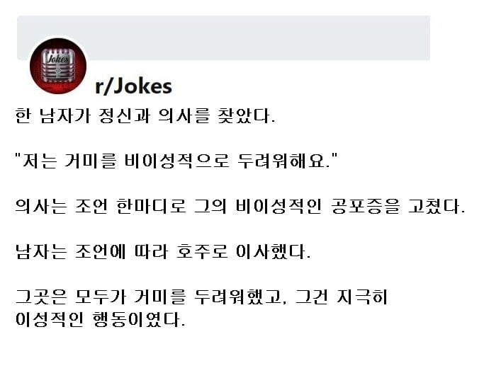 거미에 대한 비이성적인 두려움을 고치는 법 | 인스티즈