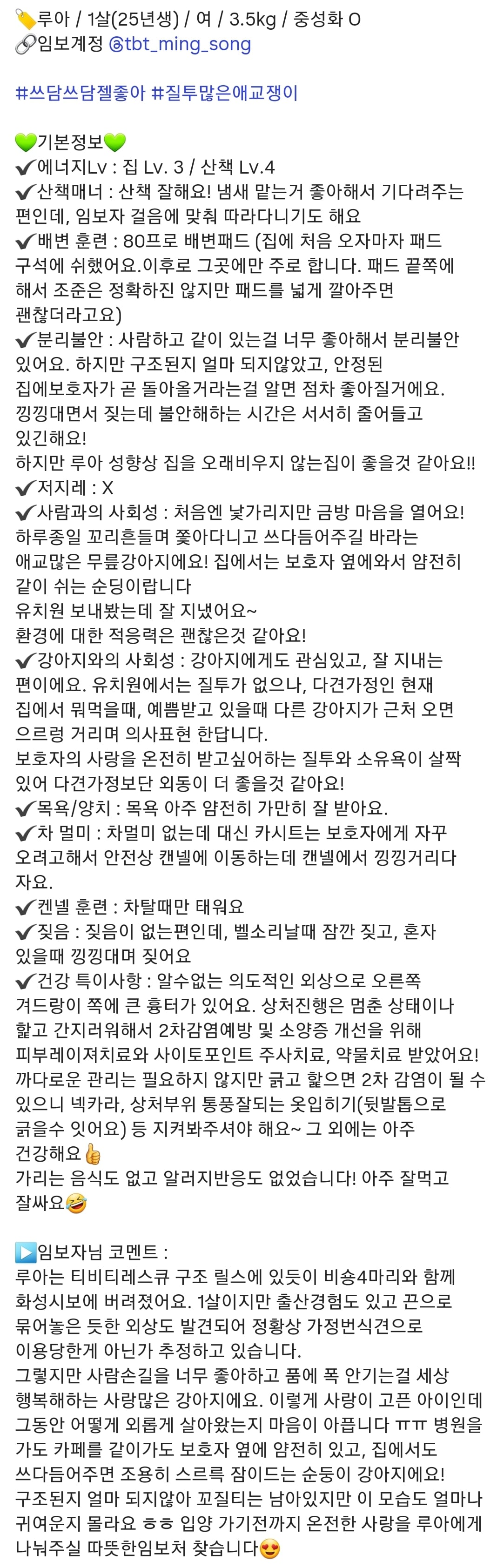 올여름은 유기동물과 함께🐶🐰😸 +임시보호 | 인스티즈