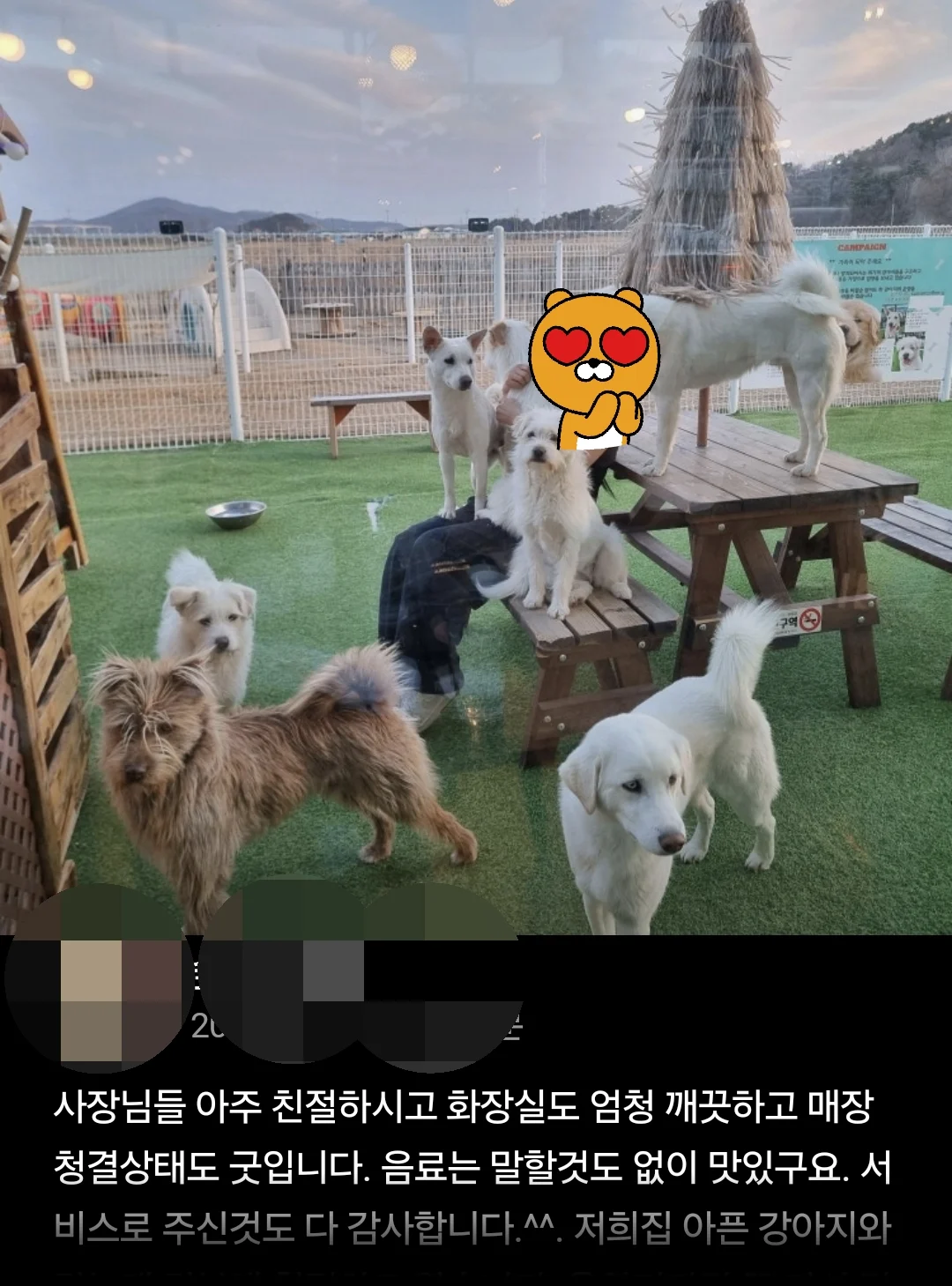 운영이 ㄹㅇ 개판인 인천 영종도 카페 | 인스티즈