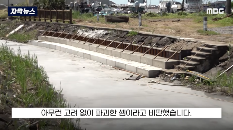 [자막뉴스] "이런 미친 행정 처음 봤다".. 콘크리트 대학살 '발칵' (MBC뉴스) | 인스티즈