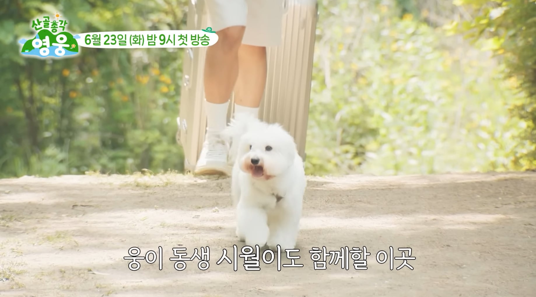 SBS에서 하는 임영웅 단독 예능 컨셉...jpg | 인스티즈