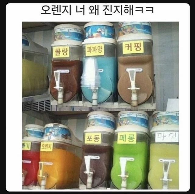 혼자만 진지한 오렌지 | 인스티즈