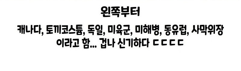 전투복의 실제 위장 효과 | 인스티즈