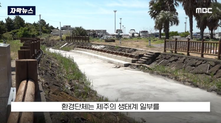 [자막뉴스] "이런 미친 행정 처음 봤다".. 콘크리트 대학살 '발칵' (MBC뉴스) | 인스티즈