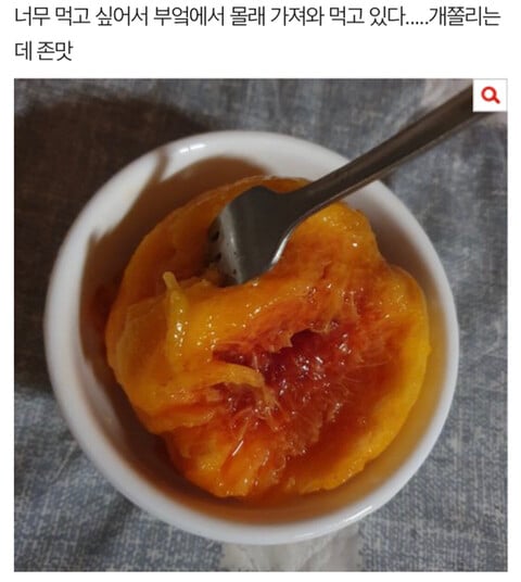 복숭아 한조각이 엄청 무서운 이유 | 인스티즈