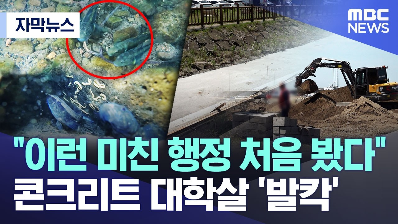 [자막뉴스] "이런 미친 행정 처음 봤다".. 콘크리트 대학살 '발칵' (MBC뉴스) | 인스티즈