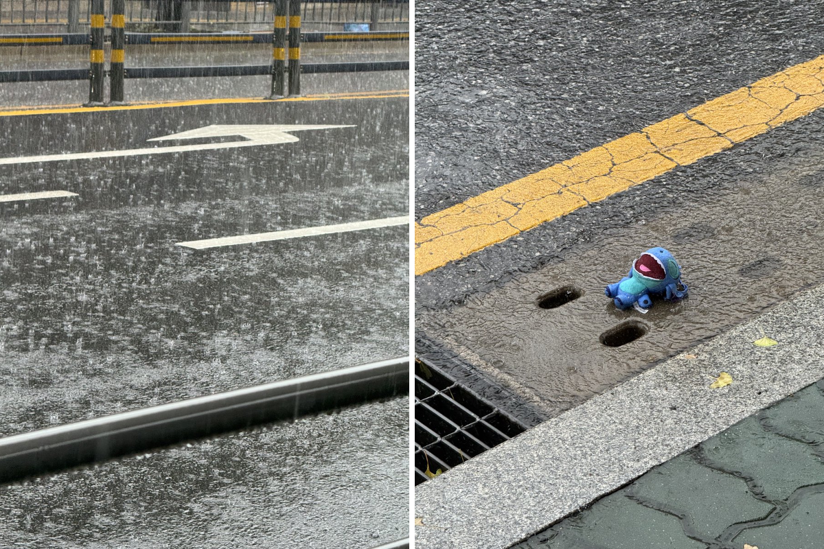 출근길에 비맞는 인형을 봤다 | 인스티즈