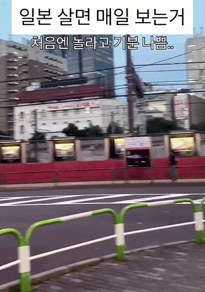 일본 살면 매일 보는 거.gif | 인스티즈