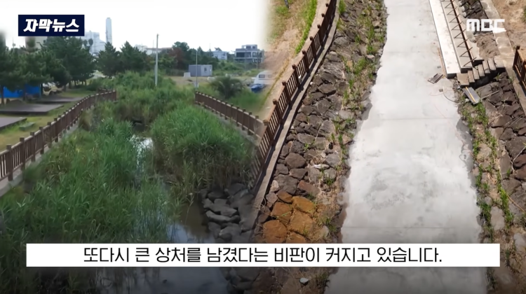 [자막뉴스] "이런 미친 행정 처음 봤다".. 콘크리트 대학살 '발칵' (MBC뉴스) | 인스티즈
