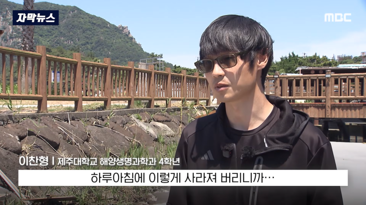 [자막뉴스] "이런 미친 행정 처음 봤다".. 콘크리트 대학살 '발칵' (MBC뉴스) | 인스티즈