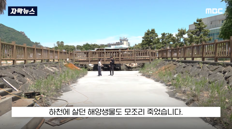 [자막뉴스] "이런 미친 행정 처음 봤다".. 콘크리트 대학살 '발칵' (MBC뉴스) | 인스티즈