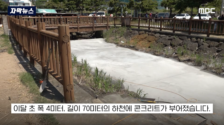 [자막뉴스] "이런 미친 행정 처음 봤다".. 콘크리트 대학살 '발칵' (MBC뉴스) | 인스티즈