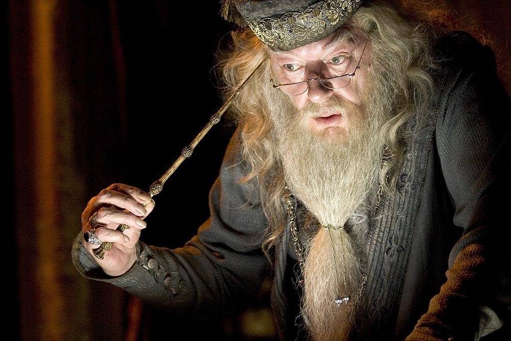 🧙‍♀️문화재 살인될까봐 남기는 썩시들의 해리포터 tmi (스압주의) | 인스티즈