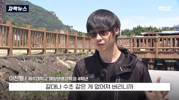 [자막뉴스] "이런 미친 행정 처음 봤다".. 콘크리트 대학살 '발칵' (MBC뉴스) | 인스티즈
