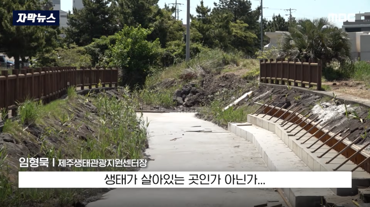 [자막뉴스] "이런 미친 행정 처음 봤다".. 콘크리트 대학살 '발칵' (MBC뉴스) | 인스티즈