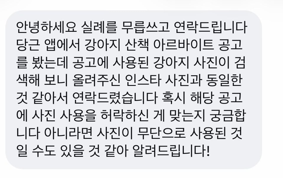 당근 등에 올라오는 강아지 산책시켜주실 분 정체 | 인스티즈