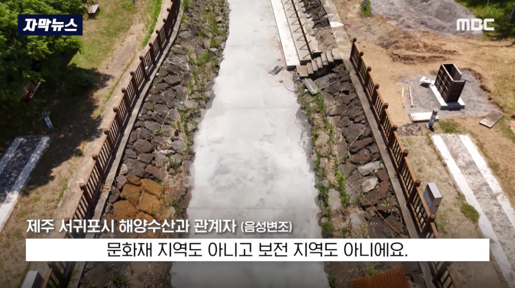 [자막뉴스] "이런 미친 행정 처음 봤다".. 콘크리트 대학살 '발칵' (MBC뉴스) | 인스티즈