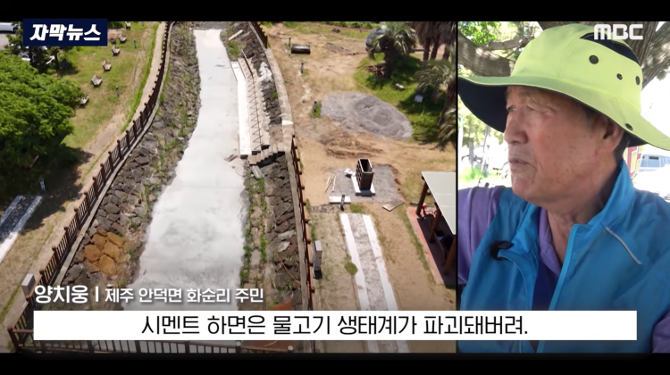 [자막뉴스] "이런 미친 행정 처음 봤다".. 콘크리트 대학살 '발칵' (MBC뉴스) | 인스티즈