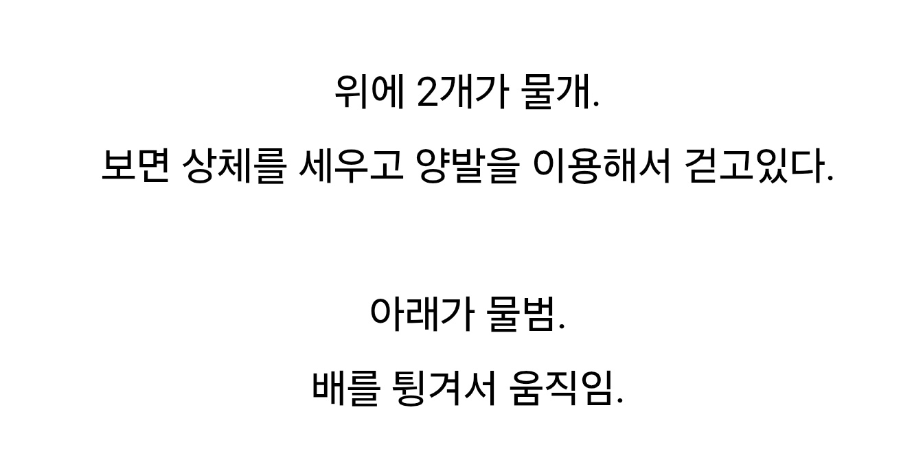 물범과 물개 차이.gif | 인스티즈