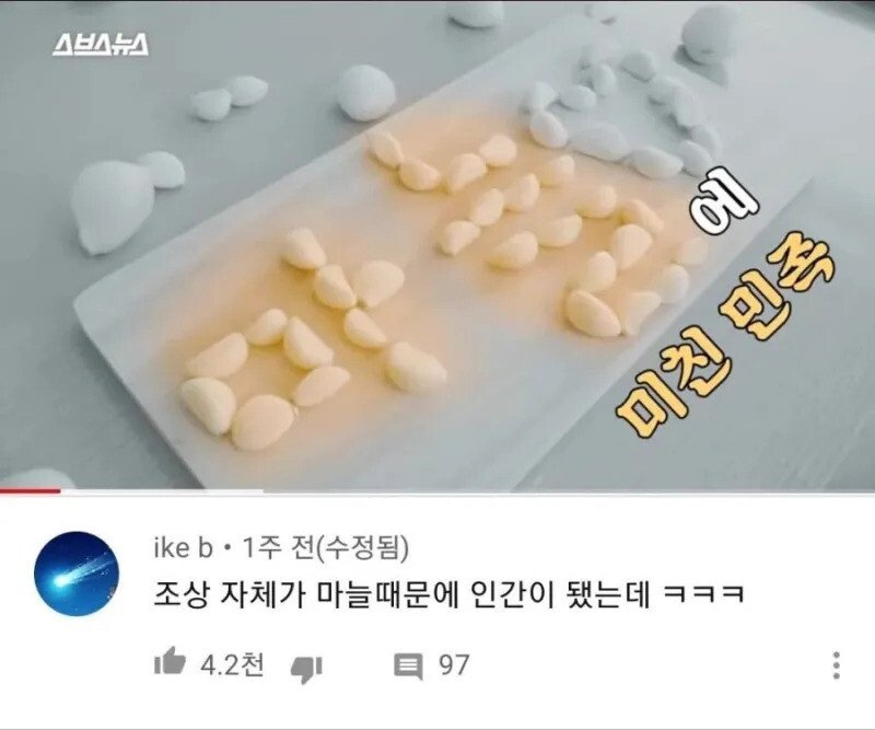 한국인이 마늘에 미쳐있는 이유 | 인스티즈