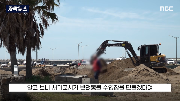 [자막뉴스] "이런 미친 행정 처음 봤다".. 콘크리트 대학살 '발칵' (MBC뉴스) | 인스티즈
