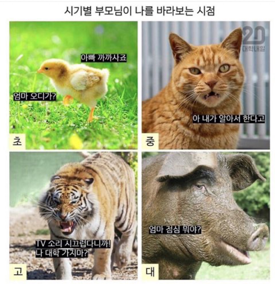 시기별 부모님이 나를 바라보는 시점 | 인스티즈