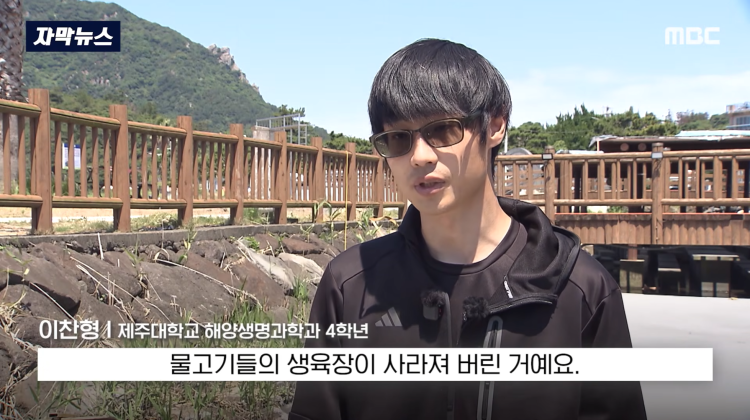 [자막뉴스] "이런 미친 행정 처음 봤다".. 콘크리트 대학살 '발칵' (MBC뉴스) | 인스티즈