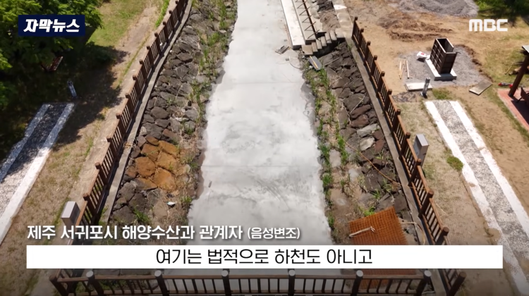 [자막뉴스] "이런 미친 행정 처음 봤다".. 콘크리트 대학살 '발칵' (MBC뉴스) | 인스티즈