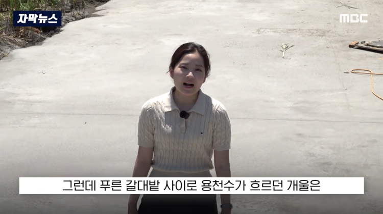 [자막뉴스] "이런 미친 행정 처음 봤다".. 콘크리트 대학살 '발칵' (MBC뉴스) | 인스티즈