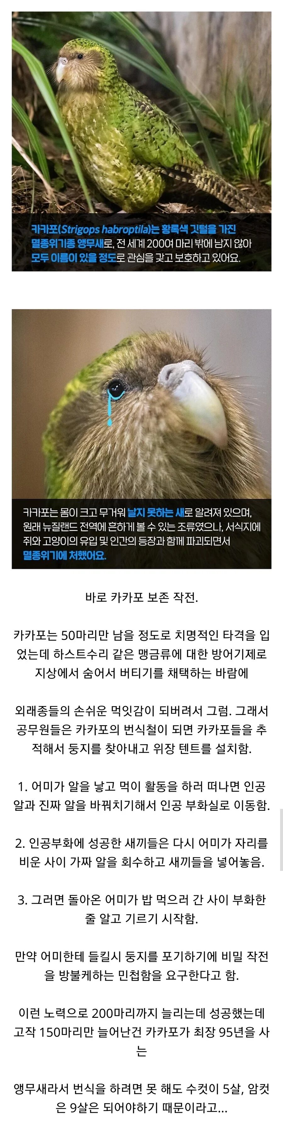 뉴질랜드 공무원들의 비밀작전 | 인스티즈