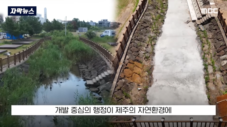 [자막뉴스] "이런 미친 행정 처음 봤다".. 콘크리트 대학살 '발칵' (MBC뉴스) | 인스티즈