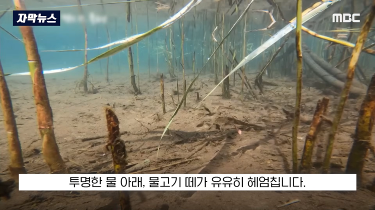 [자막뉴스] "이런 미친 행정 처음 봤다".. 콘크리트 대학살 '발칵' (MBC뉴스) | 인스티즈