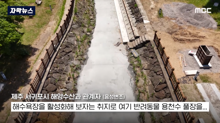 [자막뉴스] "이런 미친 행정 처음 봤다".. 콘크리트 대학살 '발칵' (MBC뉴스) | 인스티즈