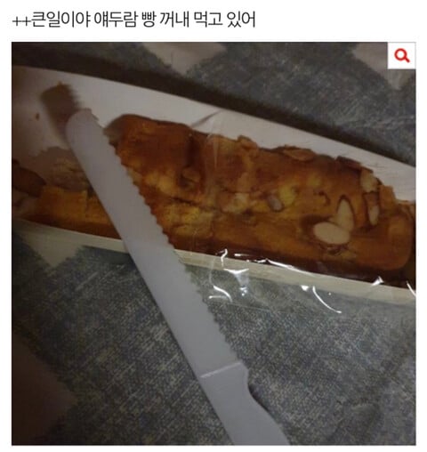 복숭아 한조각이 엄청 무서운 이유 | 인스티즈