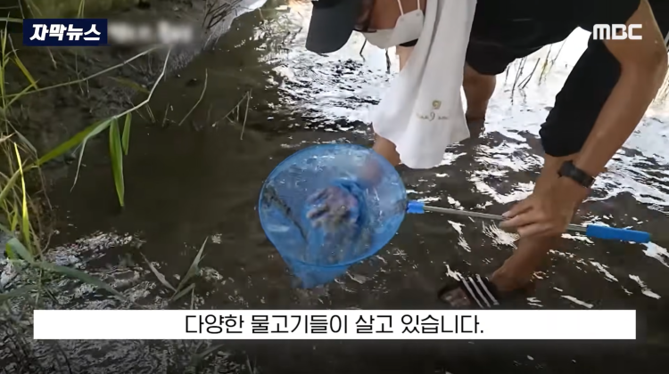 [자막뉴스] "이런 미친 행정 처음 봤다".. 콘크리트 대학살 '발칵' (MBC뉴스) | 인스티즈
