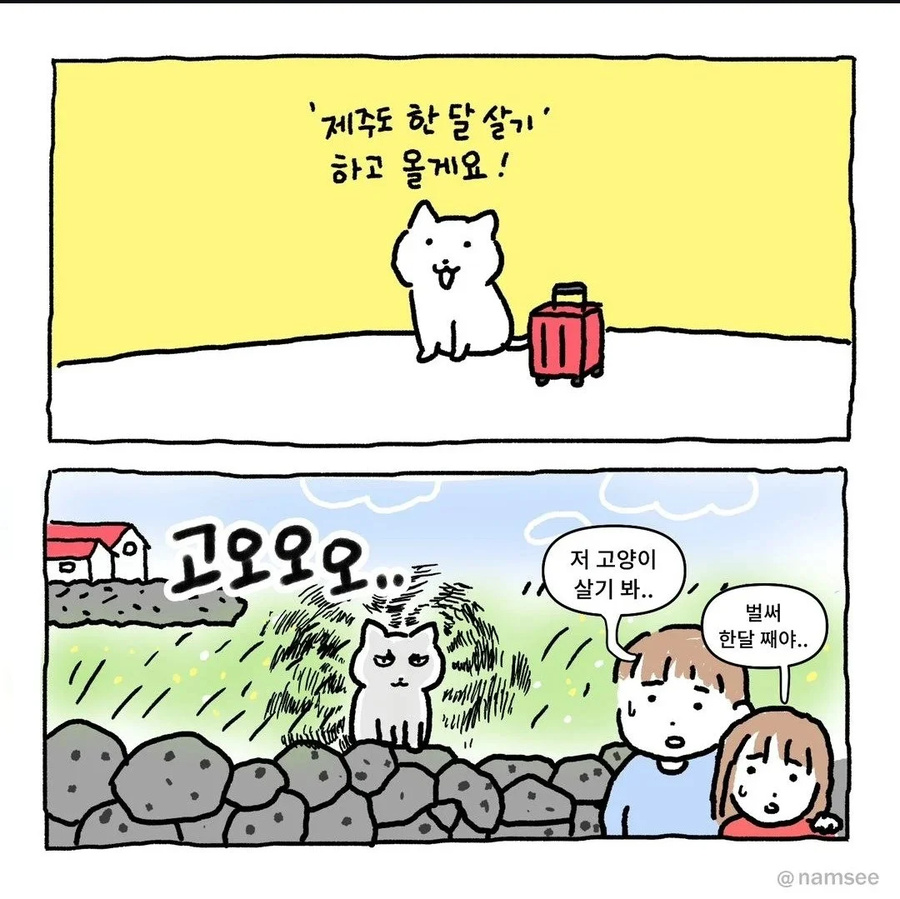 제주도 한 달 살기 하고 올게요 | 인스티즈