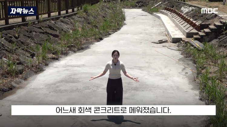 [자막뉴스] "이런 미친 행정 처음 봤다".. 콘크리트 대학살 '발칵' (MBC뉴스) | 인스티즈