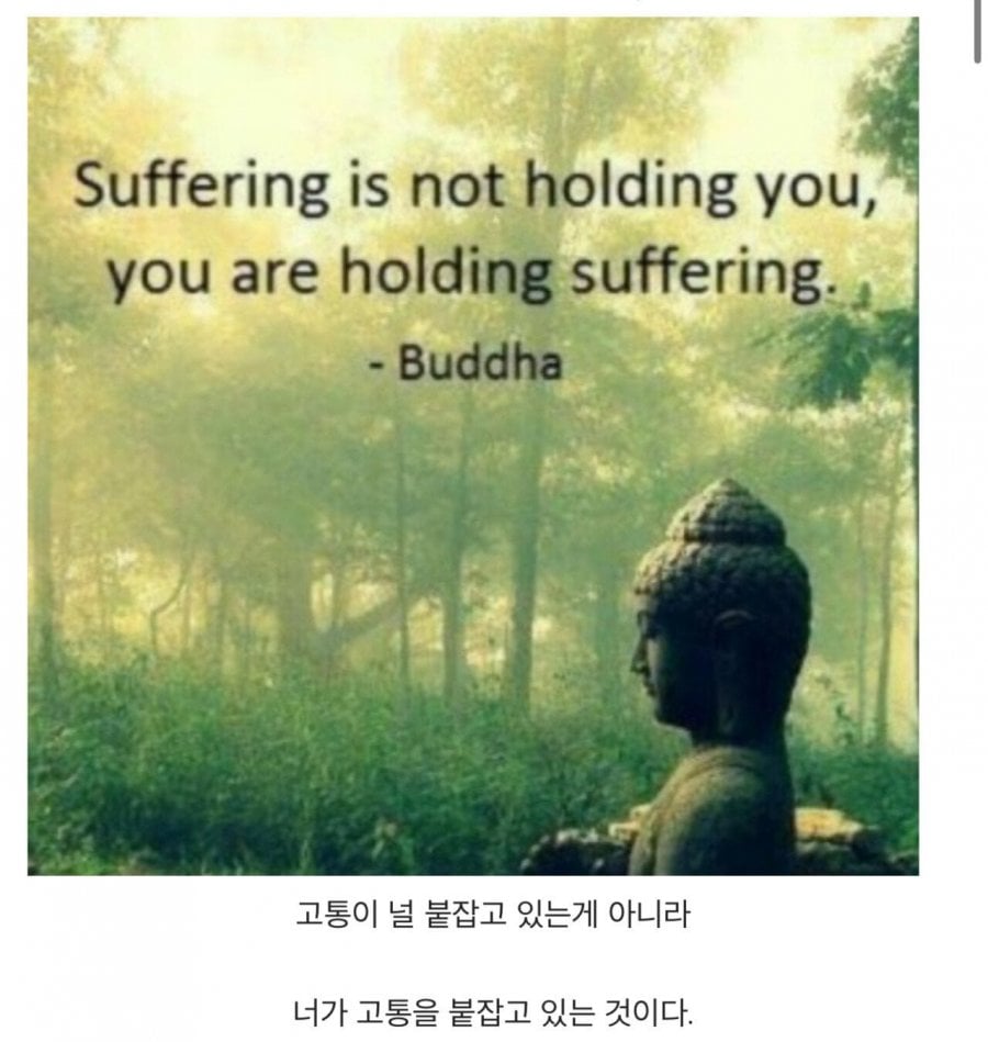 마음이 힘들때 보는 불교 명언 모음 | 인스티즈