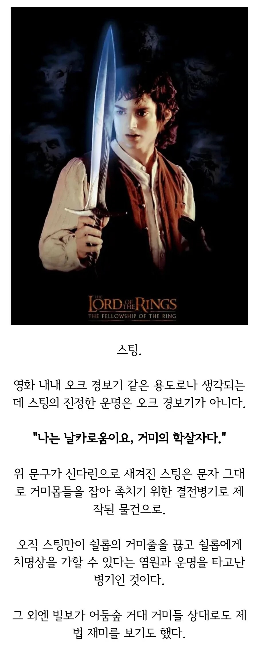 반지의 제왕 영화에선 용도가 소개 안 된 무기 | 인스티즈