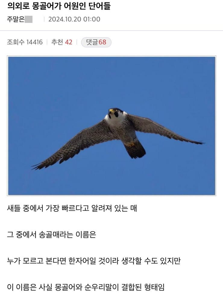 의외로 몽골어가 어원인 단어들 | 인스티즈