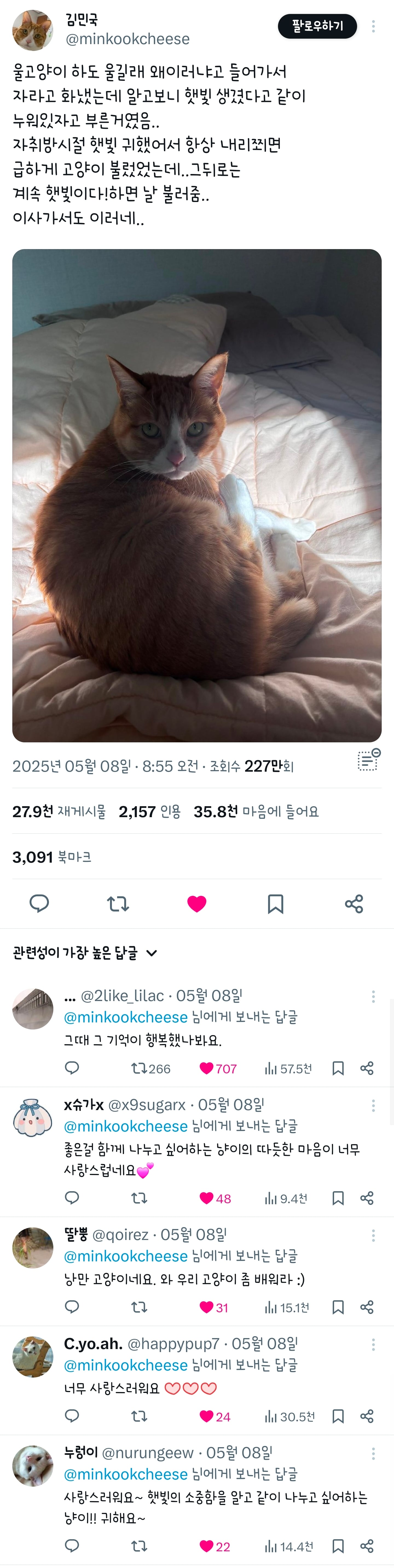 고양이가 하도 울길래 왜 이러나 했더니... | 인스티즈