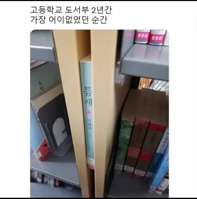고등학교 생활 2년차 가장 어이없는 일이 생김 | 인스티즈