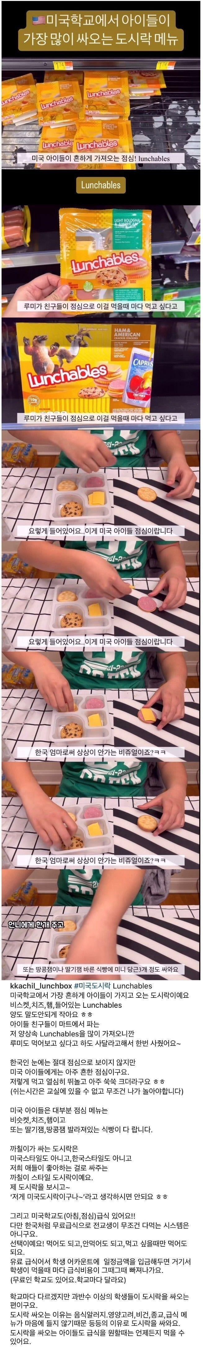 미국학교에서 아이들이 가장 많이 싸오는 도시락 메뉴 | 인스티즈