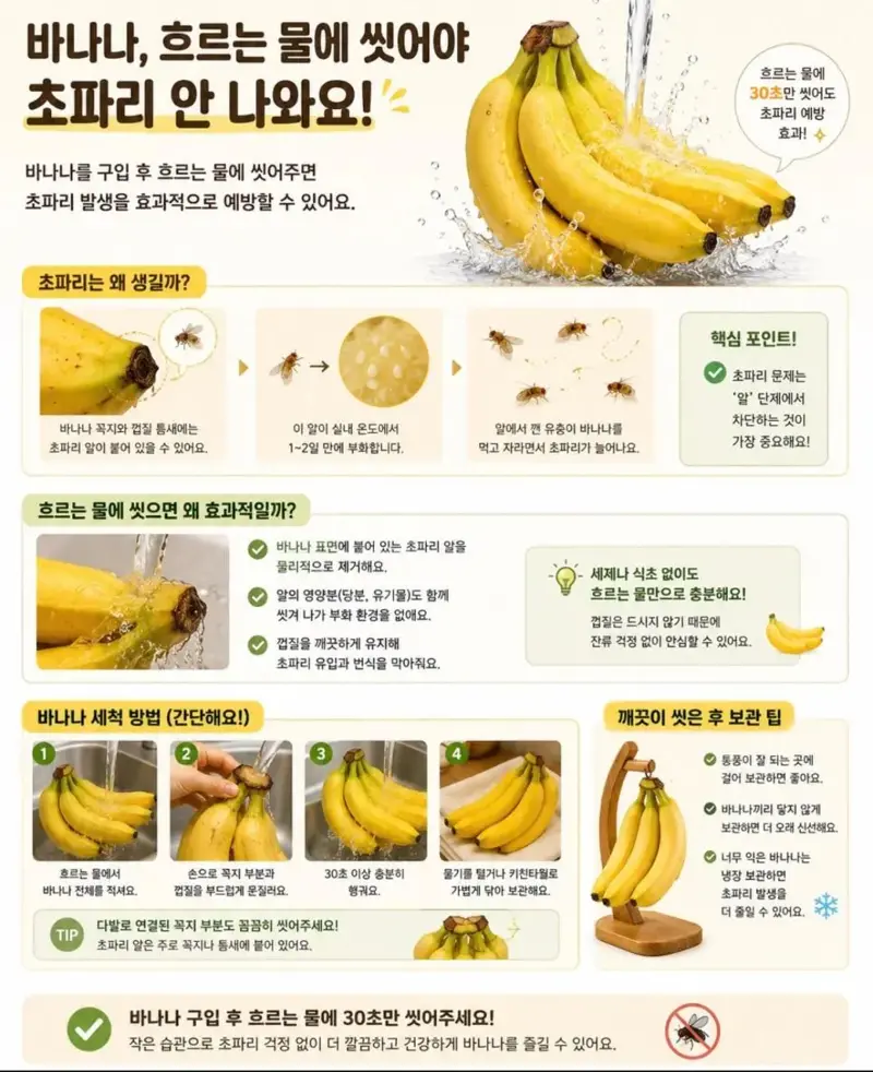 바나나 사면 바로 씻어야 하는 이유 | 인스티즈