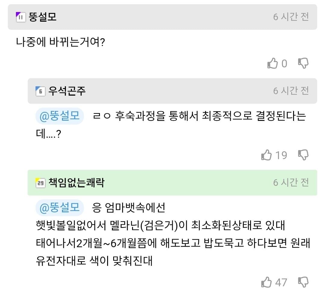 흑인 아기들은 검은 피부로 태어나지 않아요 | 인스티즈